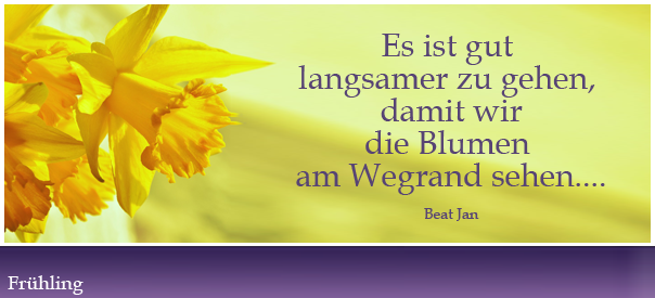 slider/fruehling19.png