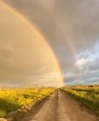 Lana-Anastasia - Trauerbegleitung - Tierkommunikation - Reiki - Medium & Channeling - Jenseitskontakte